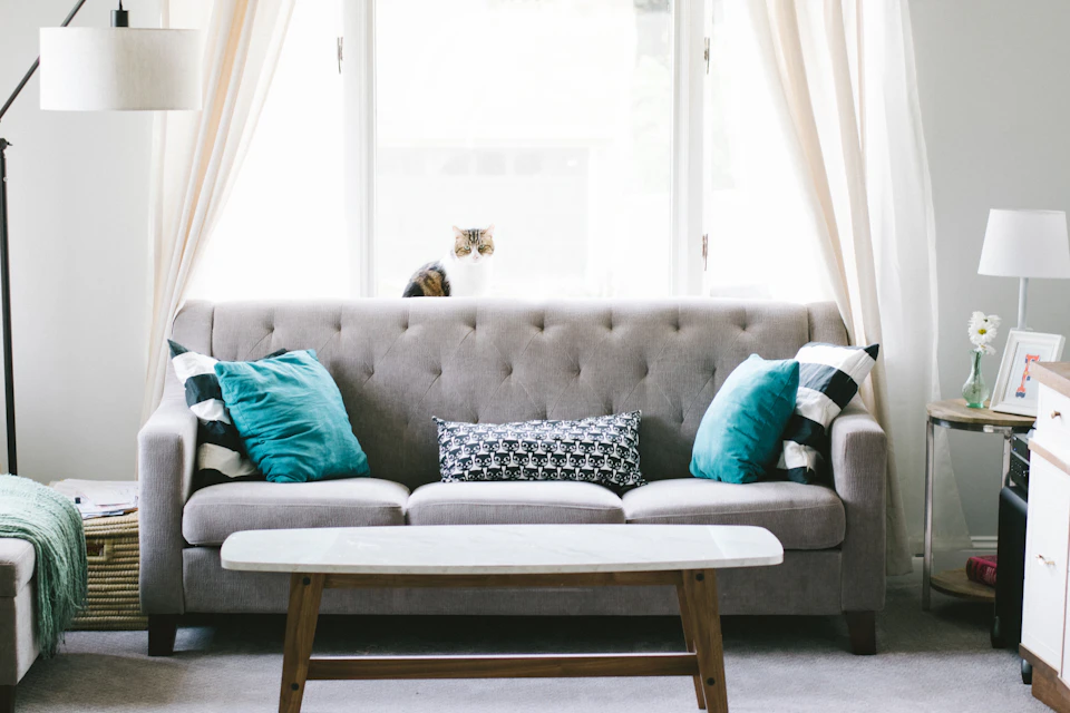Luxe Lounge Sofa